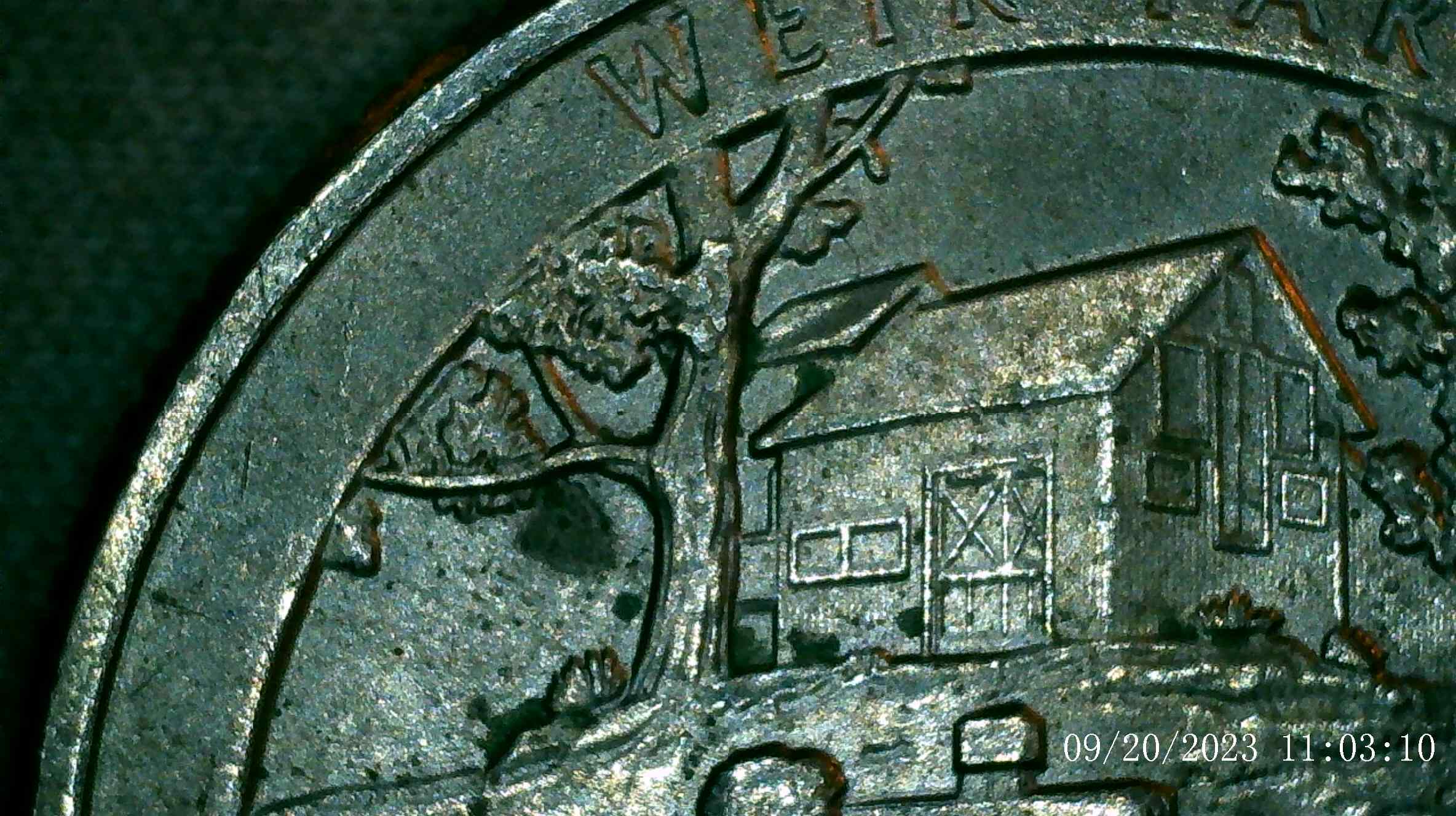 2020-P-Weir-Farms-Quarter-With-Black-Spots-Beehive